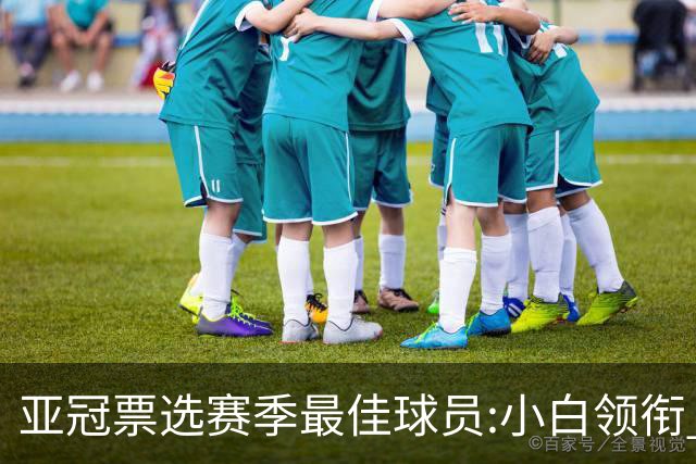 亚冠票选赛季最佳球员:小白领衔 奥古比埃拉上榜